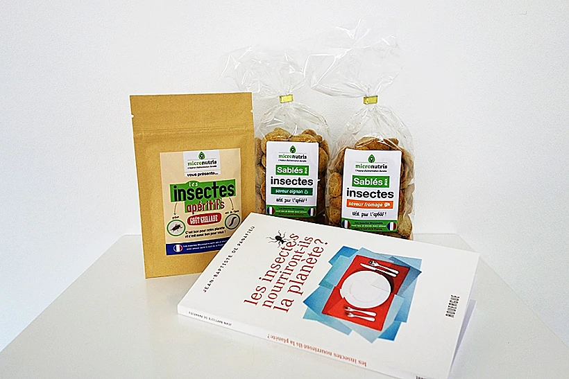 חרקים בקופסאות