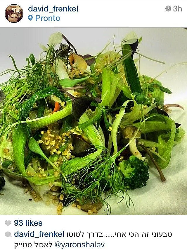 התמונה של פרנקל 