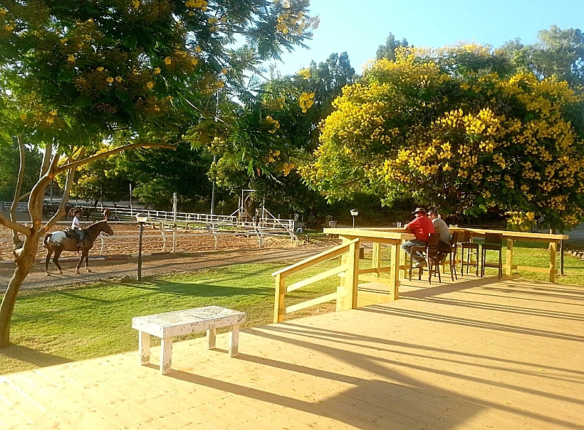 מרפסת דק עץ במסעדת טיביס בחוות ורד הגליל