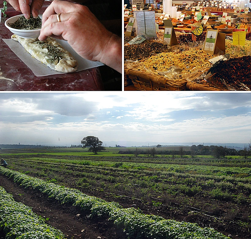 פסטיבל טעמים בעמקים