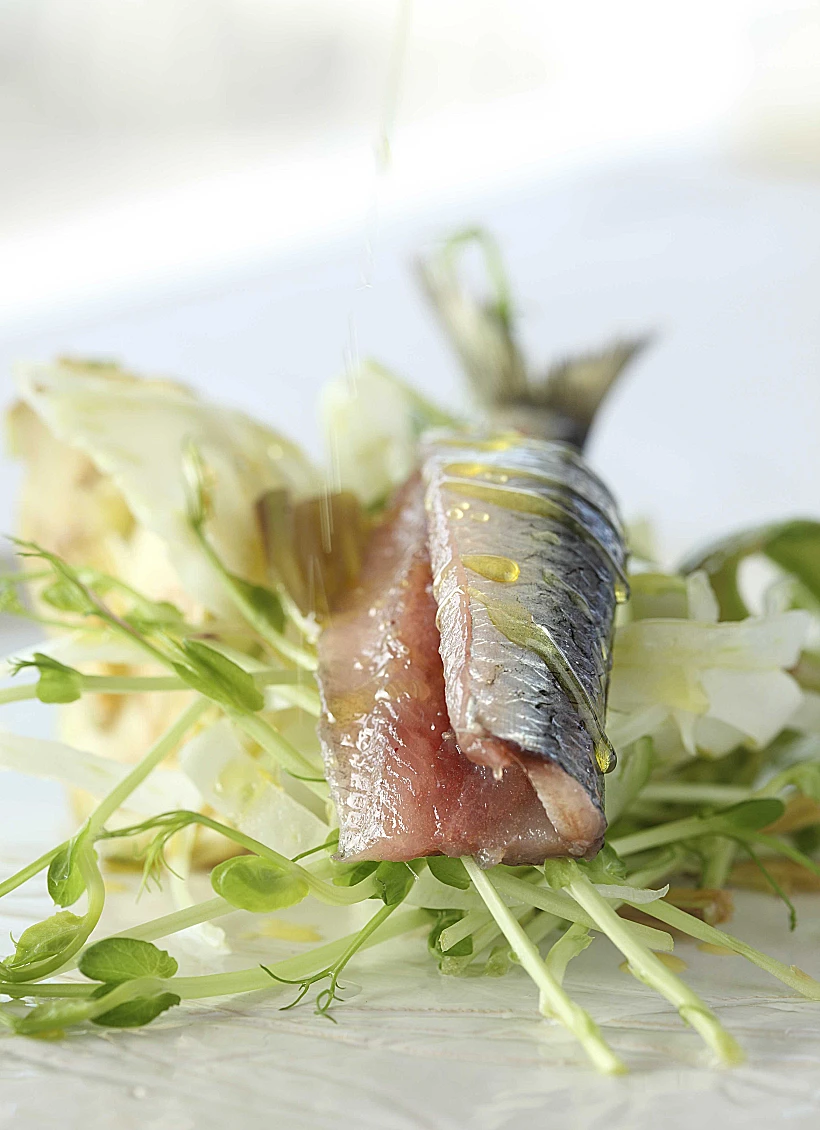 ספר בישול חדש למול ים