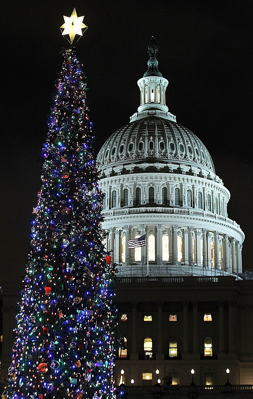 2011. עץ אשוח - על גבעת הקפיטול, וושינגטון, ארה