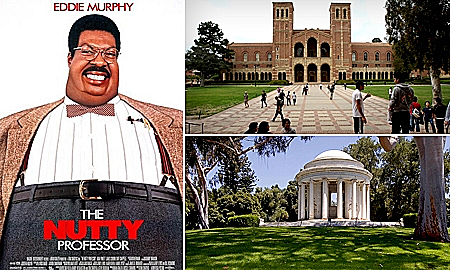 טיולים בעקבות קומדיות