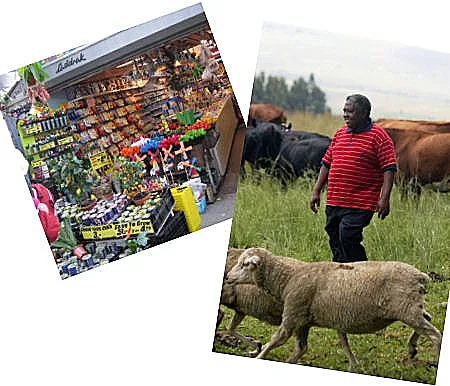 העיר  מדריד