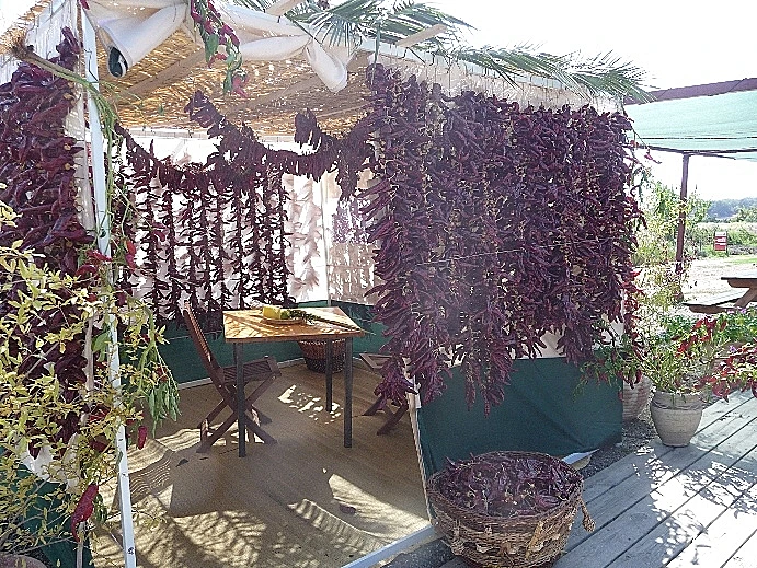 אירועים סוכות,