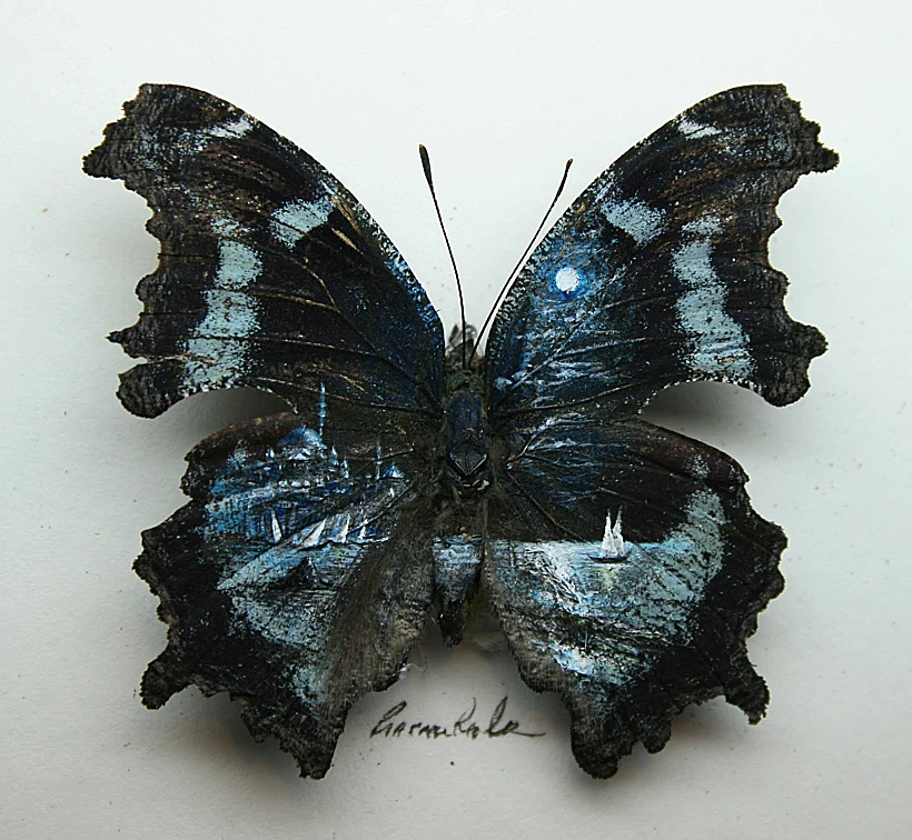 אירועים סוכות,