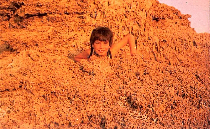 תמונות ילדות של ירון, מתוך התוכנית היפה והחנון, עונה שנייה