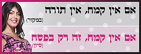 משפט חוכמה של סיון מפרק 1 , היפה והחנון, עונה 2