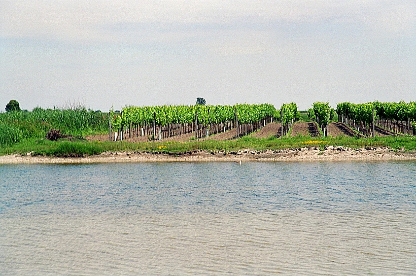 גרהארד קראכר