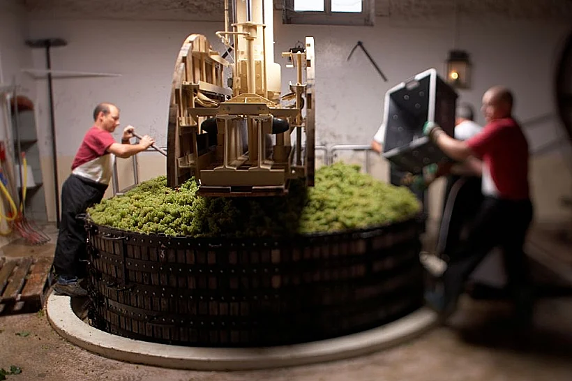 תמונה של הכנת שמפניה בבית קרוג לכתבה על טיול יינות בחבל שמפאן תמונה בגודל מותאם אישית