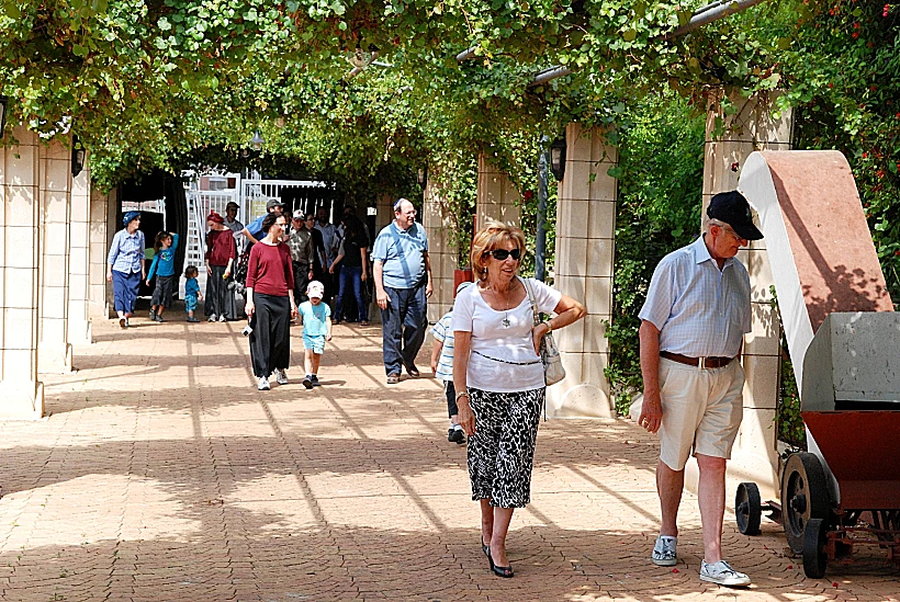 טיולי יקבים בסוכות - יקב בנימינה