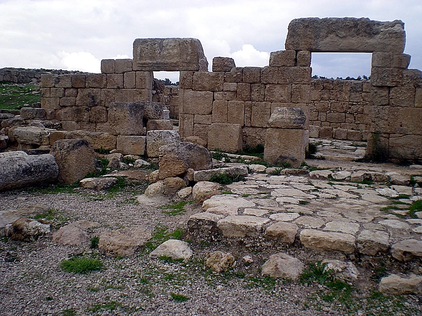 יער יתיר בנגב