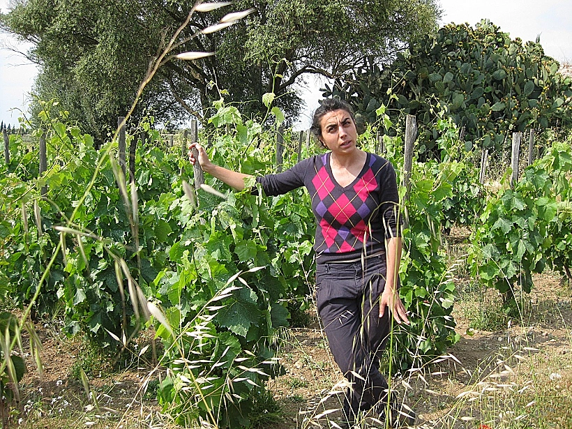 תמונה מותאמת אישית לכתבה על סיציליה