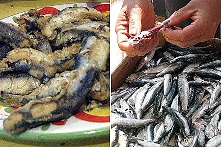 תמונה מותאמת אישית לכתבה על סיציליה