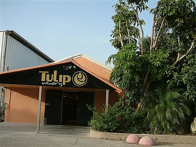 תמונה של הכניסה ליקב טוליפ. תמונה בתוך הכתבה - טיול יקבים בגליל עולם היין