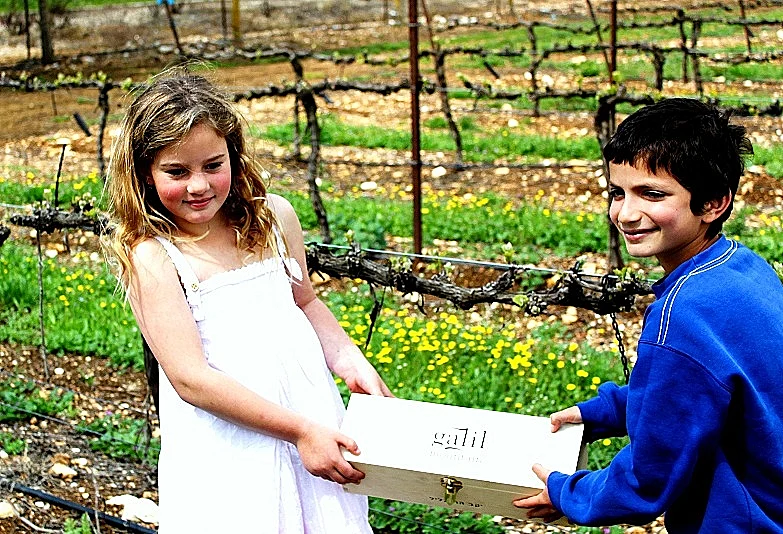 חפש את המטמון ביקב הרי גליל מותאם אישית