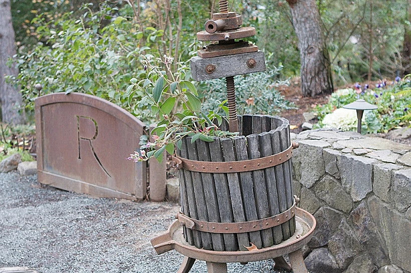 תמונה לכתבה על טיול יין בקליפורניה, תמונה בגודל מותאם אישית