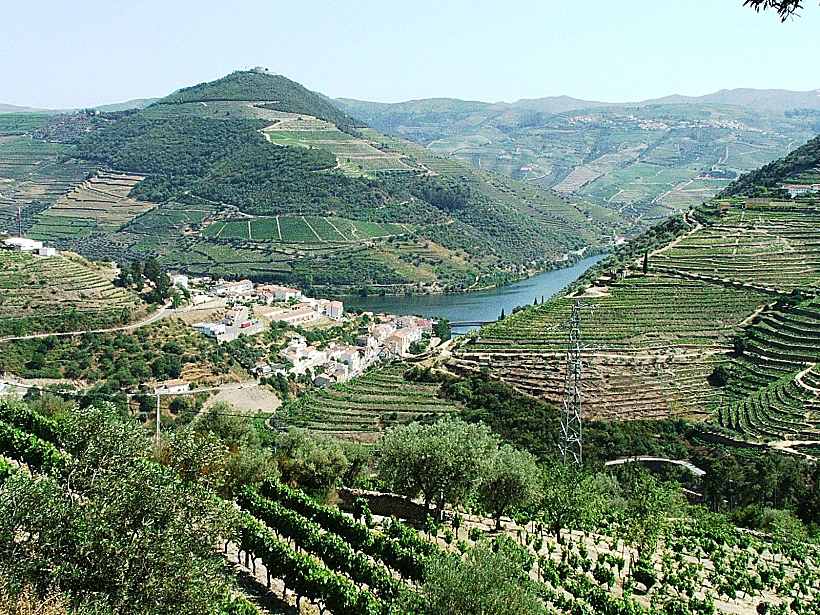 כתבה על טיול יין בפורטוגל, תמונה ראשית ולהפניות