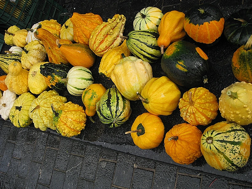 מתוך כתבה על טיול בחבל הבאסקים בספרד בעולם היין תמונה בגודל מותאם אישית ולהפניות
