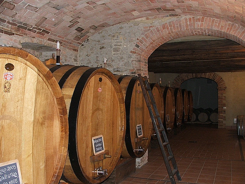 כרם בחבל פיאמונטה לכתבה על טיול יינות באזור. תמונה בגודל מותאם אישית