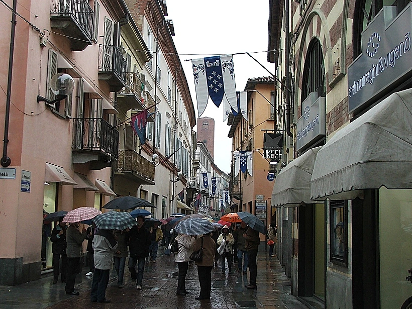 כרם בחבל פיאמונטה לכתבה על טיול יינות באזור. תמונה בגודל מותאם אישית
