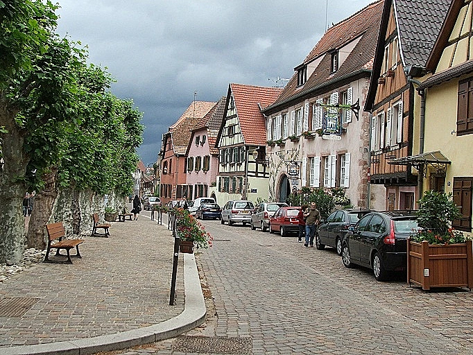 אזורי יין בעולם - טיול באלזאס, תמונה בגודל מותאם אישית