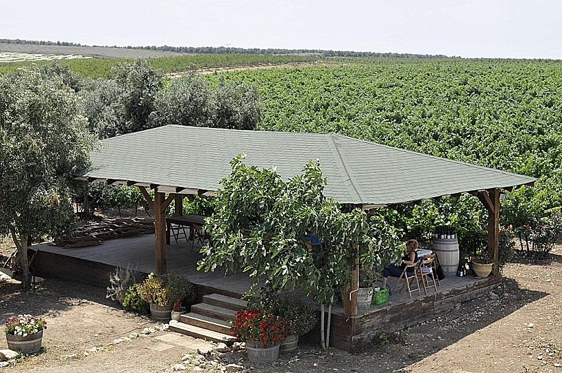 תמונה של יקב כרמי יוסף, כתבה על סיור יקבים באזור. תמונה בתוך הכתבה על כל הרוחב