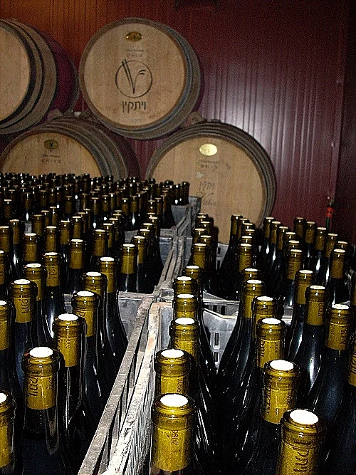 תמונה ליקב ויתקין, כתבה על טיול יקבים באזור השרון, תמונה בתוך הכתבה