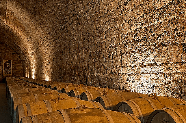 תמונה של מרכז תרבות היין של יקבי כרמל, כתבה על סיור יקבים באזור הכרמל תמונה בתוך הכתבה על כל הרוחב