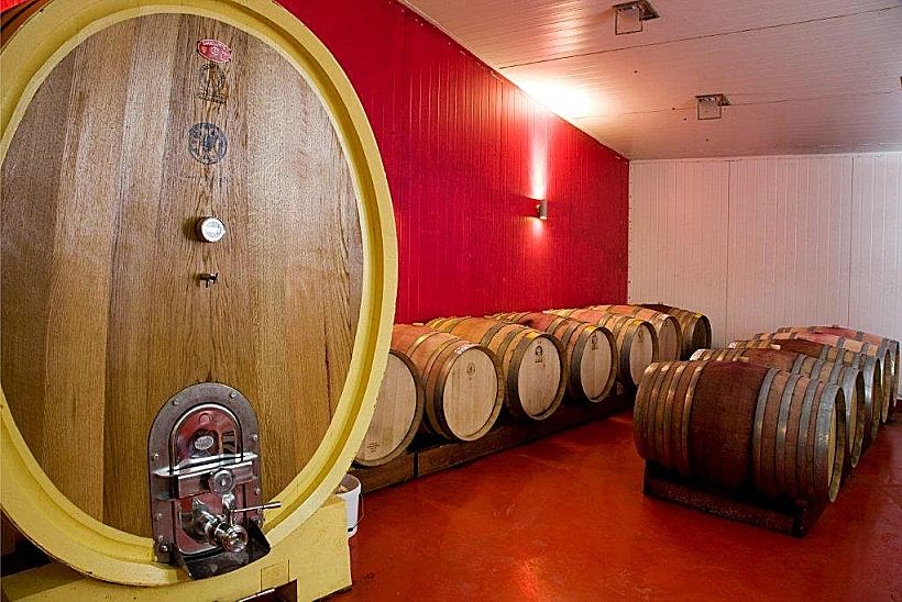 תמונה של חדר חביות יקב רמות נפתלי. תמונה בתוך הכתבה - טיול יקבים בגליל עולם היין