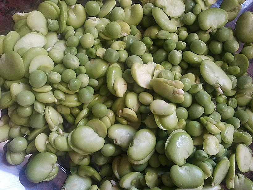 ריזוטו אפונה ופול לכתבה בעולם היין תמונה על כל הרוחב