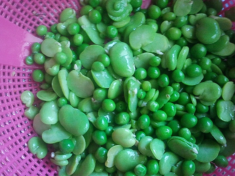 ריזוטו אפונה ופול לכתבה בעולם היין תמונה על כל הרוחב