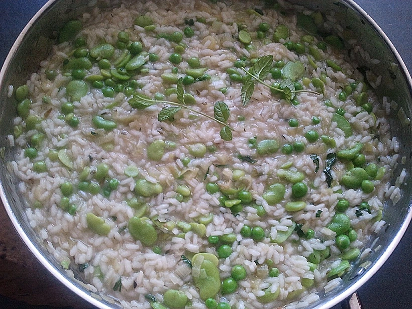 ריזוטו אפונה ופול לכתבה בעולם היין תמונה על כל הרוחב