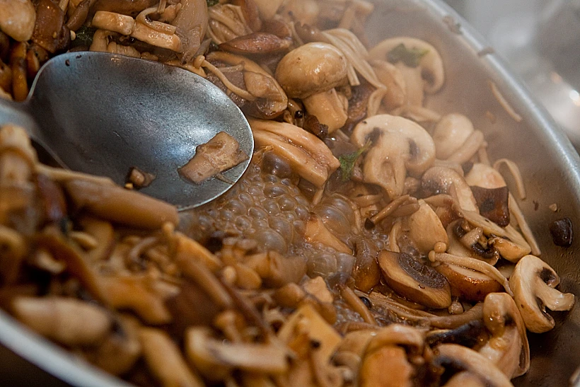 פסטה ברוטב פטריות לעולם היין תמונה ראשית ולהפניות