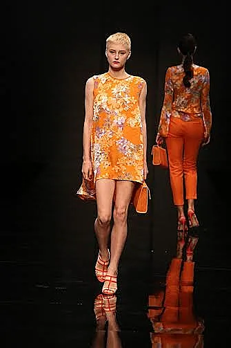 בתצוגה של שי שלום