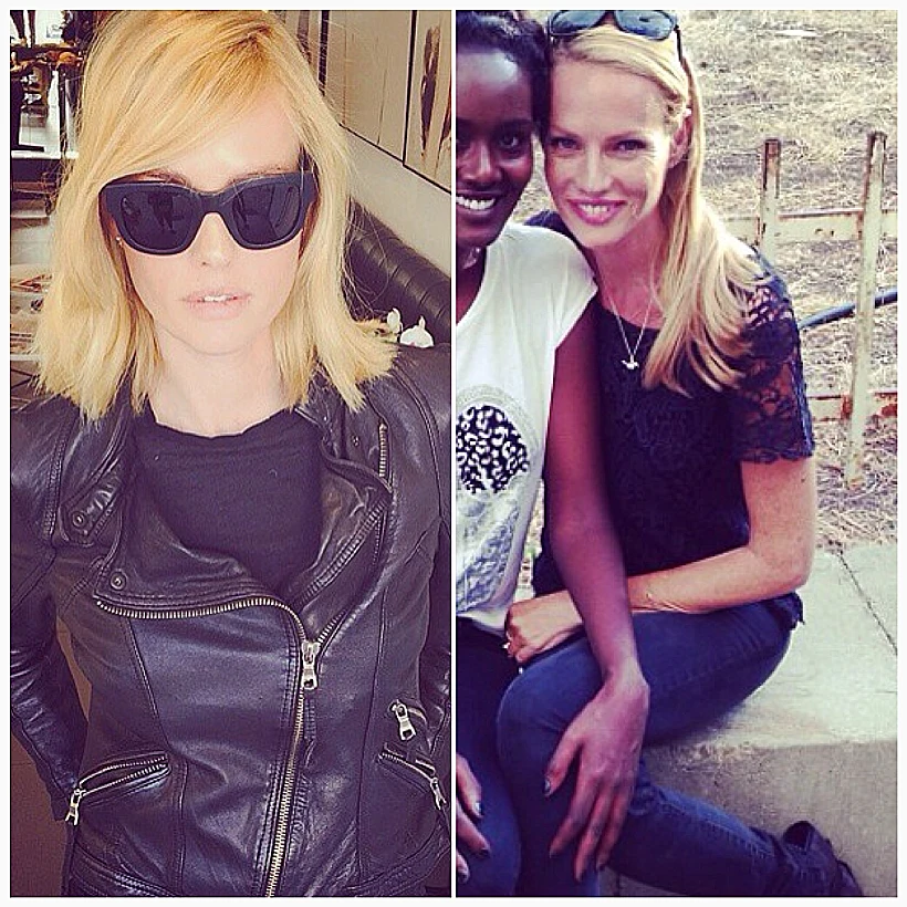 המפורסמות מקצצות