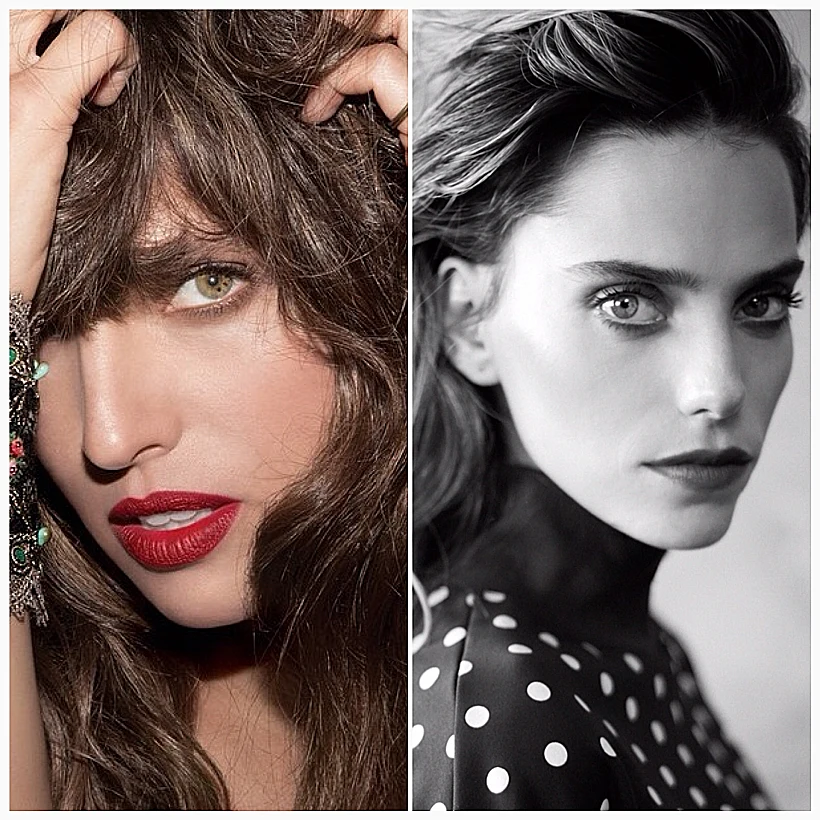 הפרזנטוריות