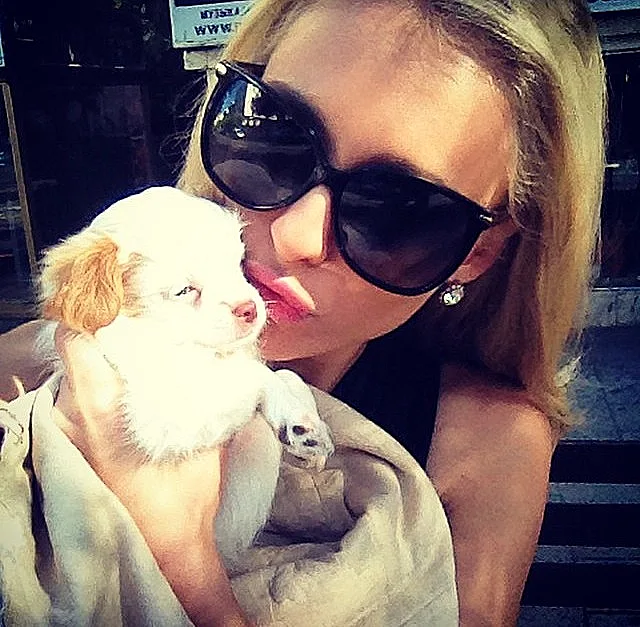 גורים - ניקי הילטון