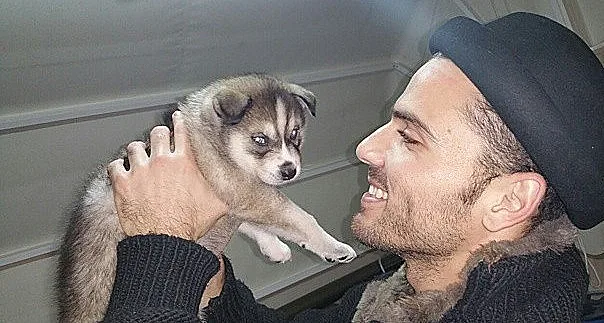 גורים - ניקי הילטון