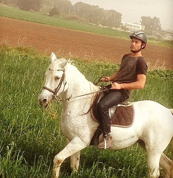 גורים - ניקי הילטון