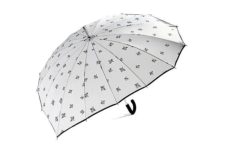 מטריות לחורף