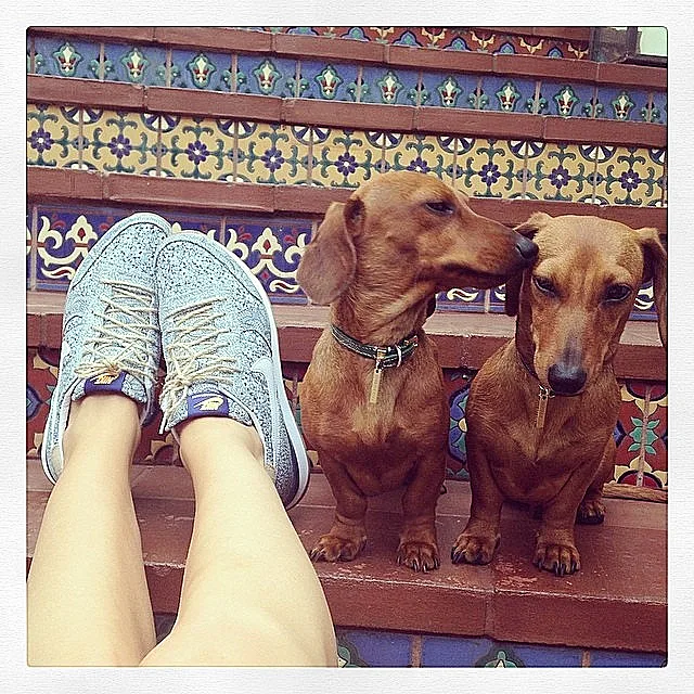 איאינסטגרם