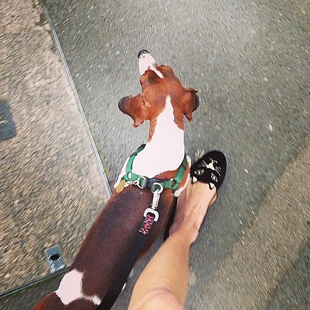 אואופנה באינסטגרם