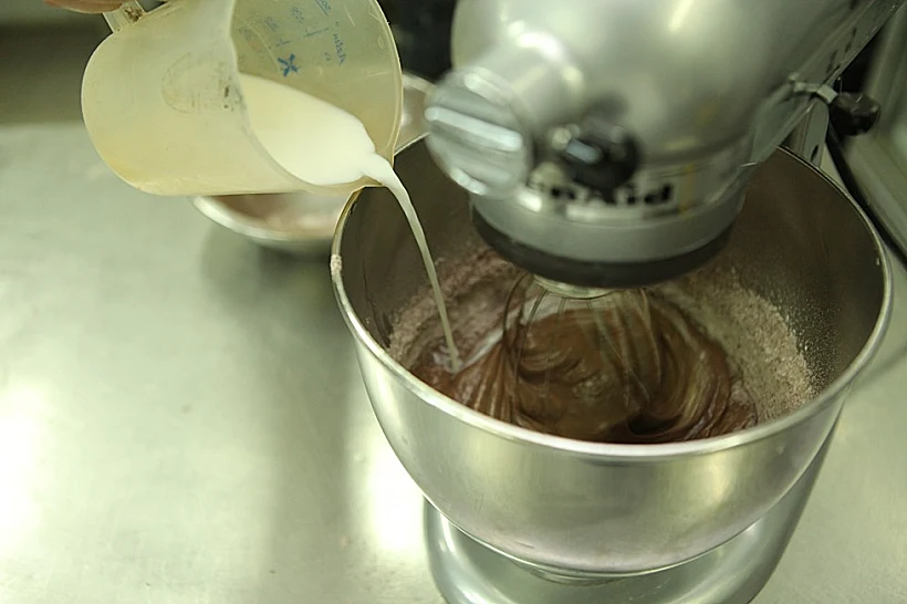 עוגת היער השחור