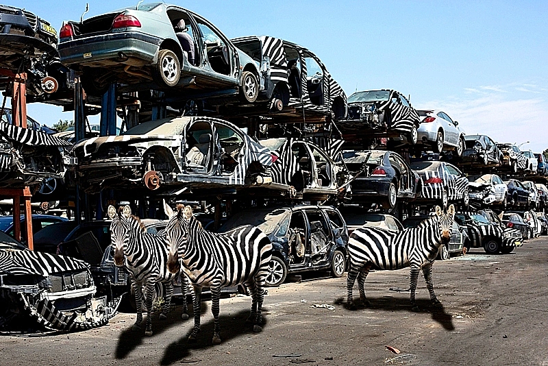 נתיב האבדון, חורף 2065 - בני אפרת ( צילום: יח