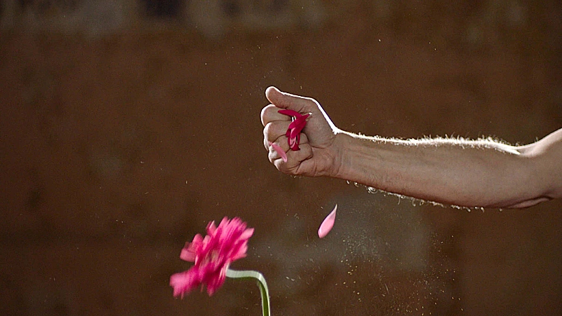 Only one story(צילום: וידאו סטיל )