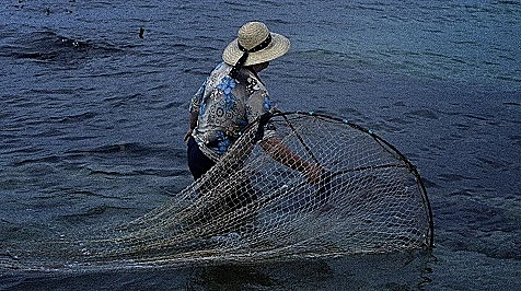 מתוך:  A MAE E O MAR