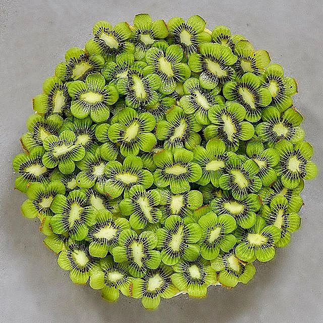 נטלי דדון הפגיזה עם לוק שלא חשבנו עליו