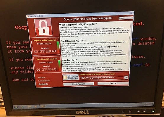 תוכנת הכופר דורשת מאות דולרים מהקורבן