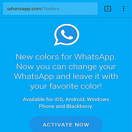 שימו לב לאות W במילה WhatsApp